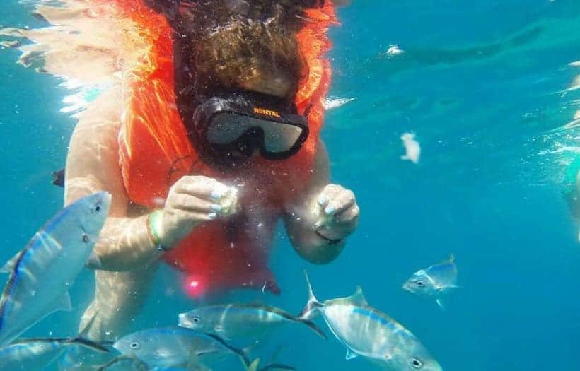 Catalina Island Snorkeling Things To Do In Punta Cana Excursions Catalina Island Snorkeling From Punta Cana