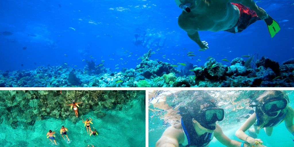 The Best Spots To Snorkel In Dominican Republic Things Do Snorkeling In Punta Cana